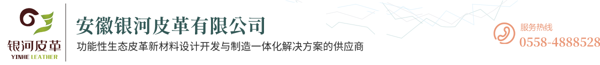 安徽銀河皮革有限公司